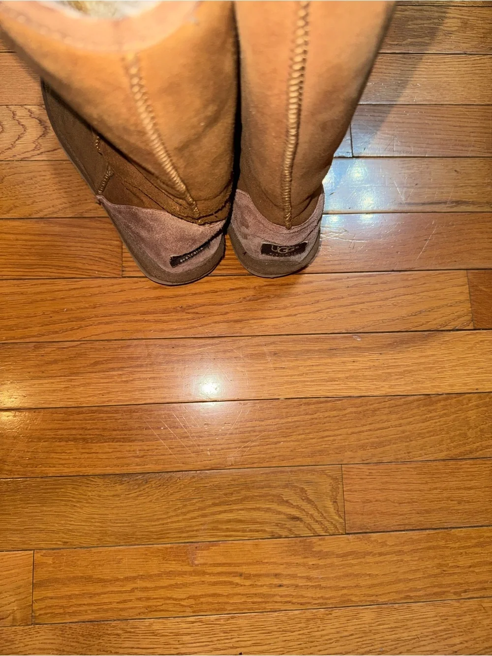 UGGS Classic Tall Suede Winter Boots - Brown